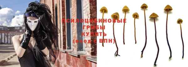 амф Заволжск