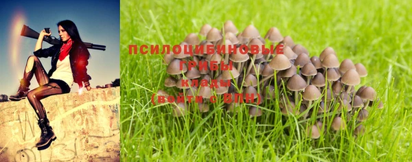 скорость Заволжье